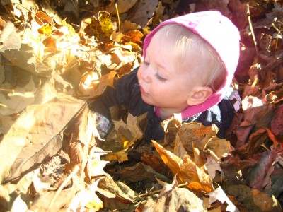 Not really a fan of being plunged into a pile of leaves, but not completely opposed either.