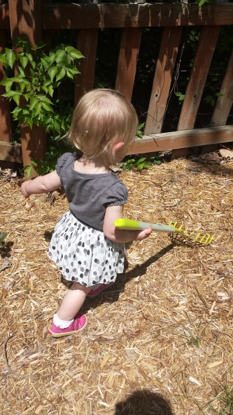 Did Mommy tell you I love raking and picking up sticks?