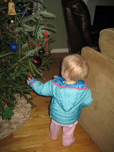 Hailey did a great job with the Christmas tree.  No casualties! She is a pro at "just a touch," or touching each ornament with just one finger.  