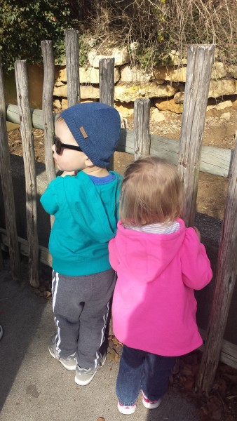 At the zoo with Preston